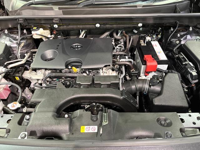 23808246_carP_l_16.jpg