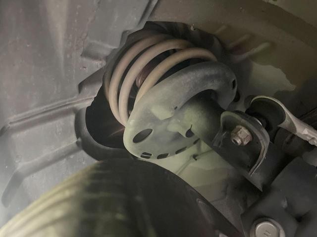 26946771_carP_l_20.jpg