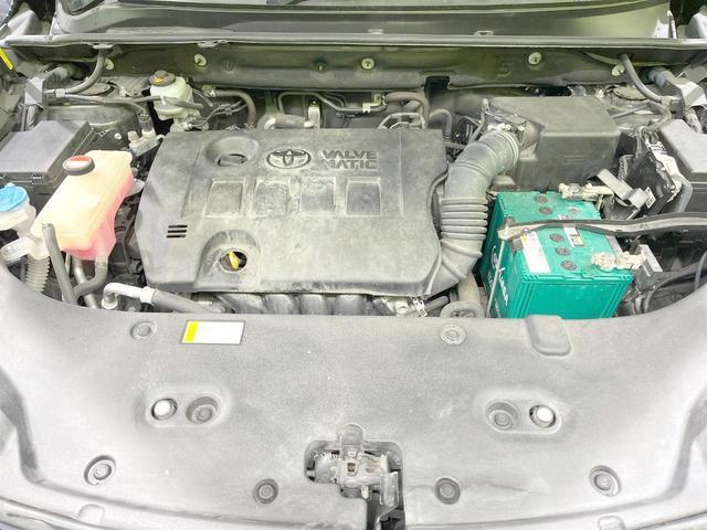 24932660_carP_l_16.jpg