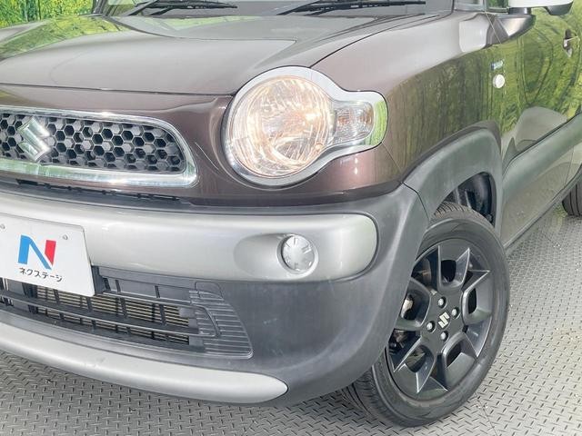 26946777_carP_l_6.jpg