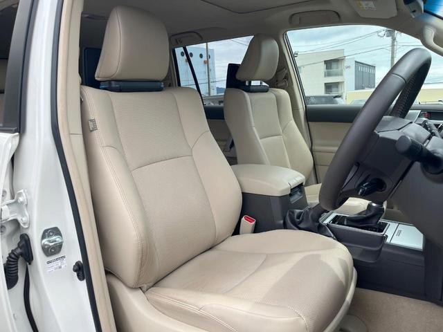 26272467_carP_l_7.jpg