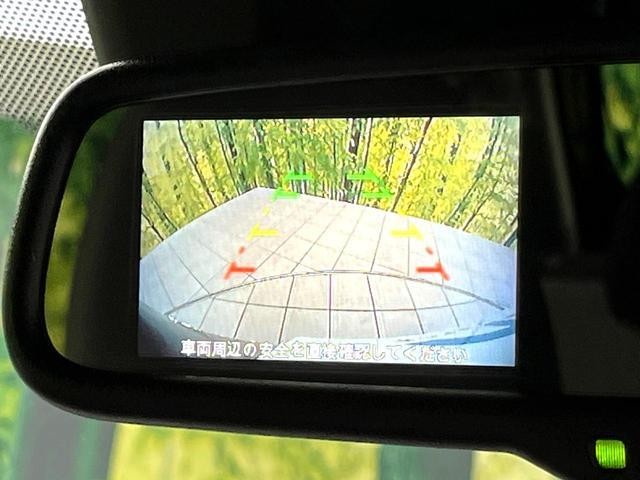 25673455_carP_l_4.jpg