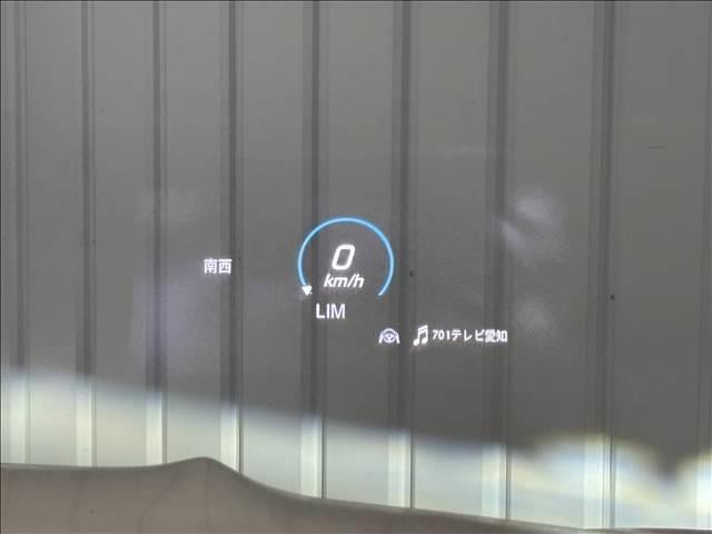 25215408_carP_l_6.jpg