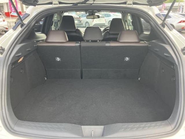 25070512_carP_l_17.jpg