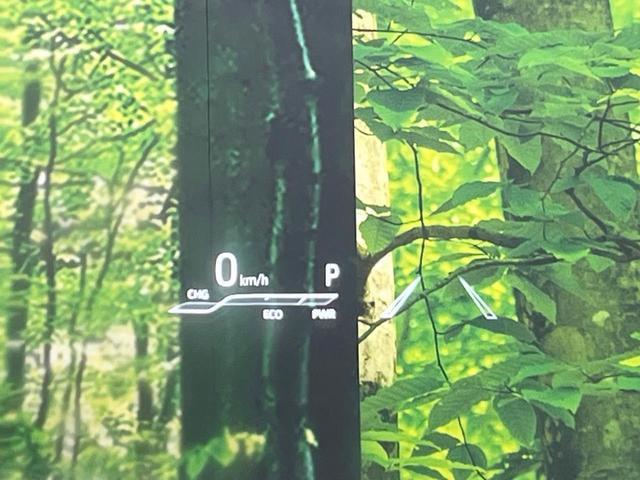 24787868_carP_l_14.jpg
