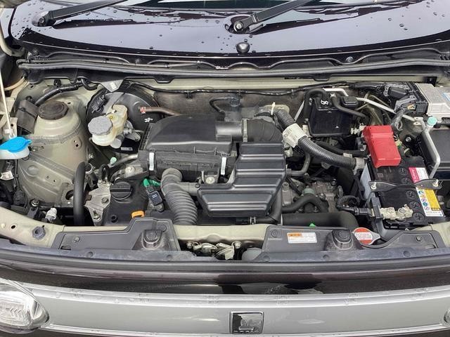 25009777_carP_l_6.jpg