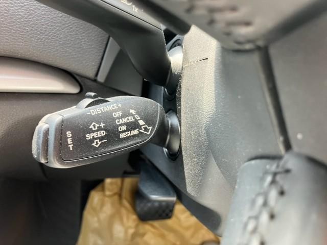 25528032_carP_l_13.jpg