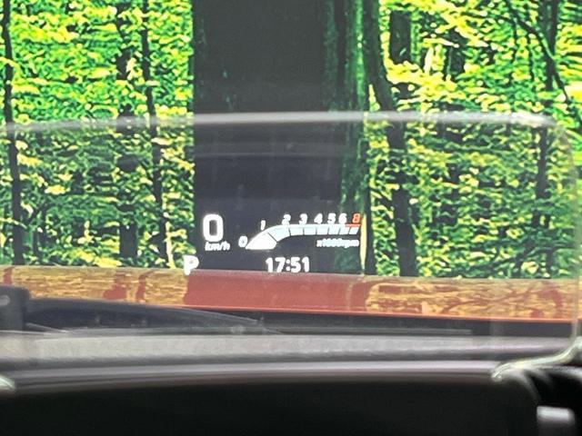 24932821_carP_l_13.jpg