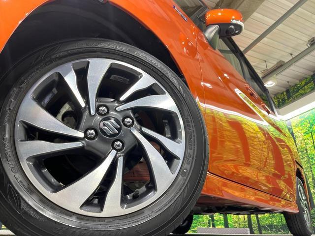 24932821_carP_l_7.jpg