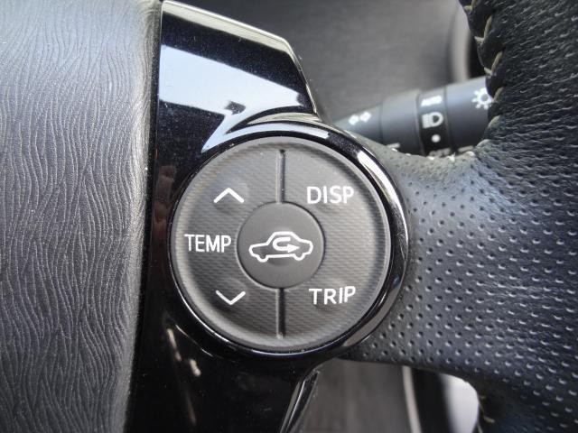 25369427_carP_l_11.jpg