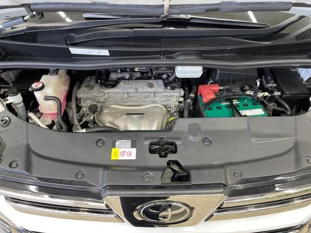25774432_carP_l_18.jpg