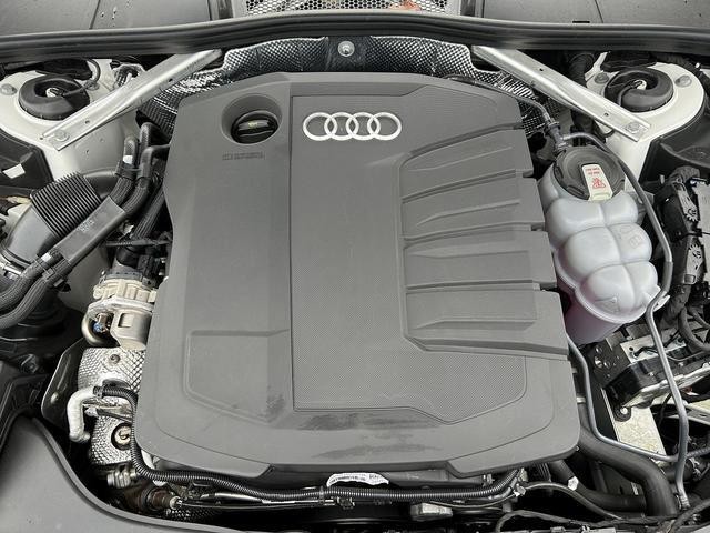 26395982_carP_l_12.jpg
