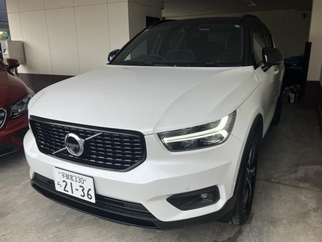 27219727_carP_l_10.jpg