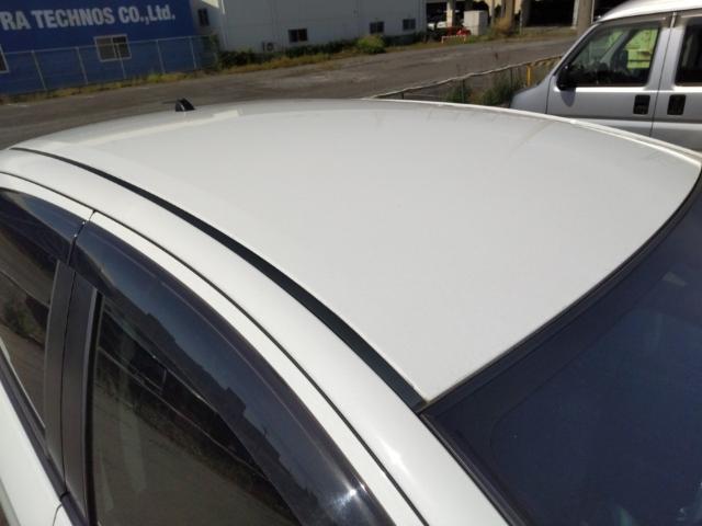 24253827_carP_l_14.jpg