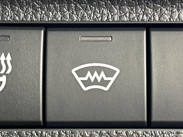 23808529_carP_l_14.jpg