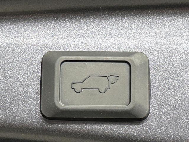 23808529_carP_l_5.jpg