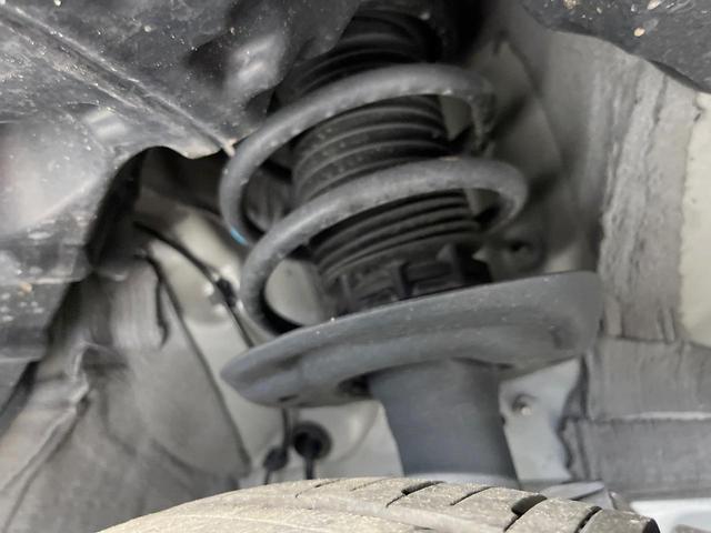 25096400_carP_l_16.jpg
