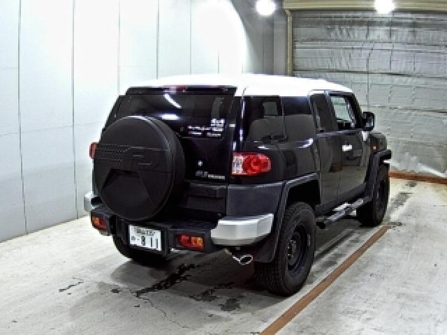 25015662_carP_l_10.jpg