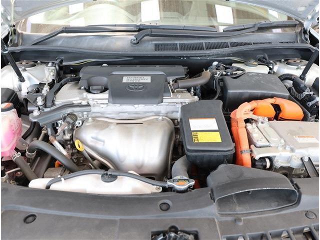 24587426_carP_l_18.jpg
