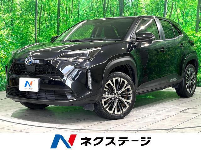 a508cffd28682d4acf0ce12b46291a71.jpg