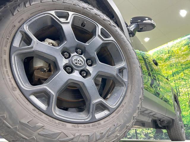 24932865_carP_l_7.jpg