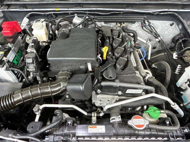 24932904_carP_l_16.jpg