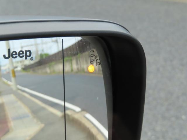 24404112_carP_l_19.jpg