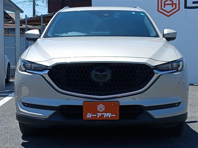 24253919_carP_l_19.jpg