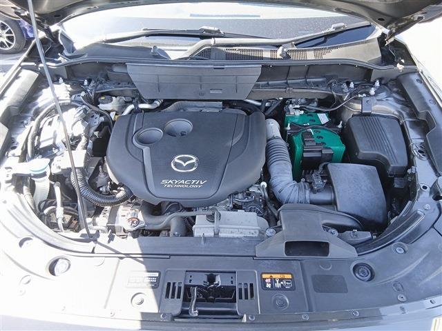 24253920_carP_l_18.jpg