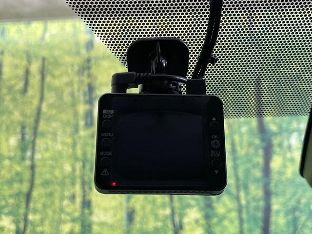 25241198_carP_l_10.jpg