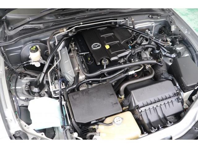 25739386_carP_l_18.jpg