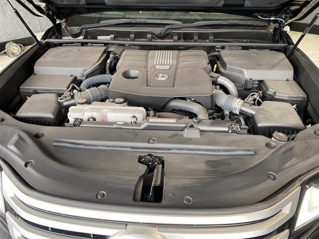 25050730_carP_l_12.jpg