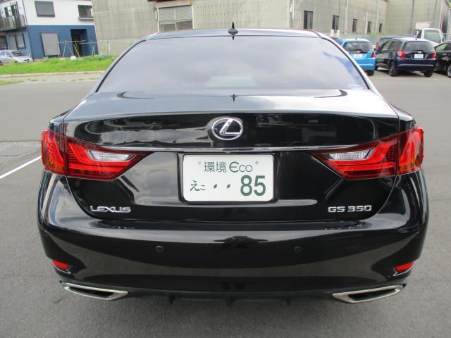 23812891_carP_l_12.jpg