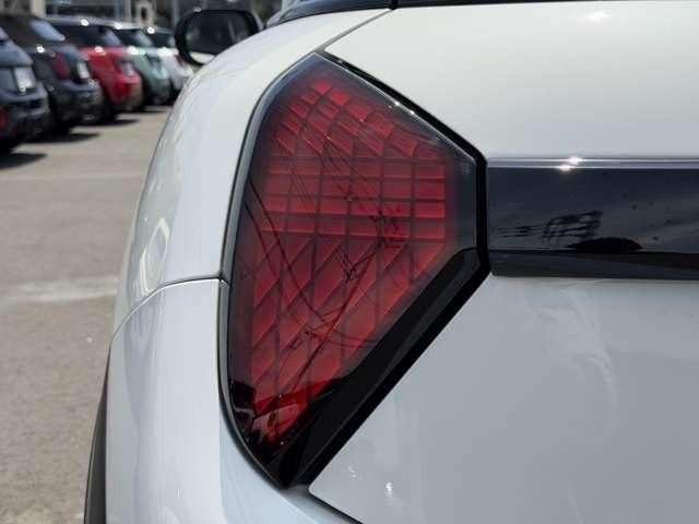 25528057_carP_l_8.jpg