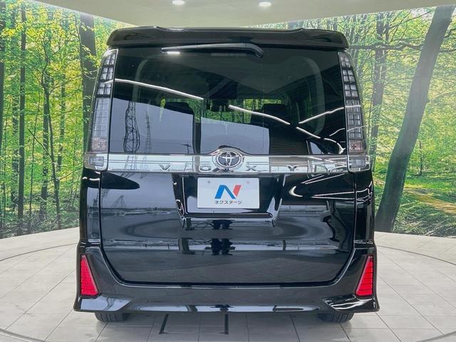 24932915_carP_l_11.jpg