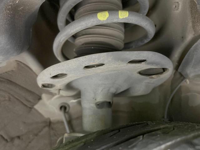 24932915_carP_l_20.jpg