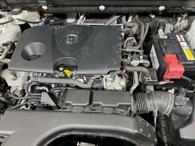 25549776_carP_l_16.jpg