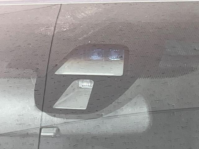 23654621_carP_l_15.jpg