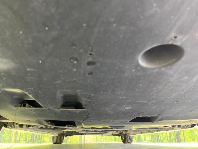 25942489_carP_l_12.jpg