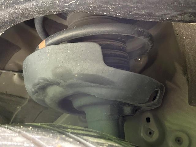 26293181_carP_l_20.jpg