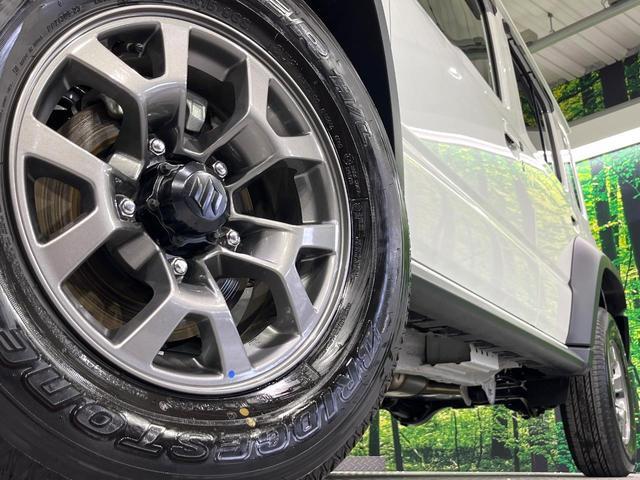 24665178_carP_l_7.jpg