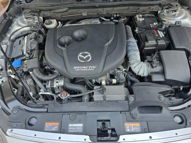 0221363A30260520W00515.jpg