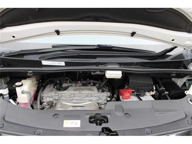 26572063_carP_l_20.jpg