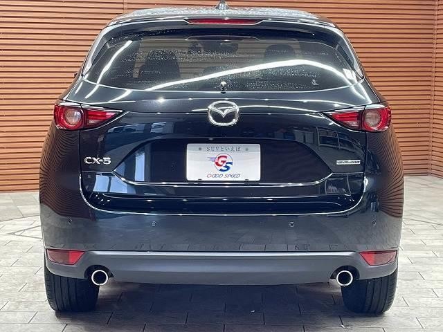 26395362_carP_l_11.jpg