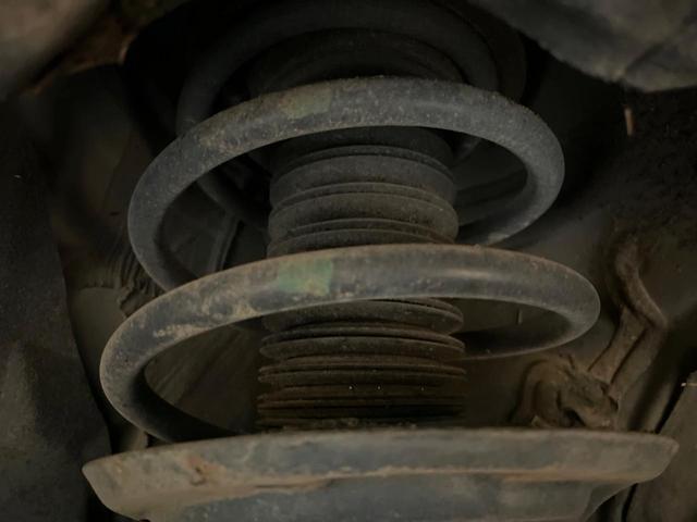 25096487_carP_l_20.jpg