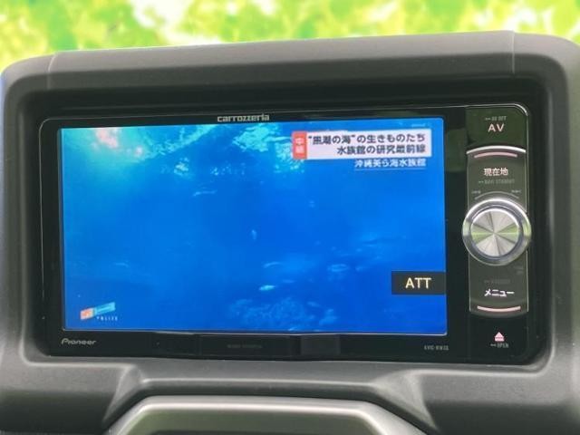 25626963_carP_l_6.jpg