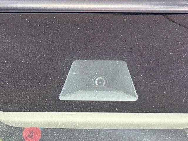 26189633_carP_l_10.jpg