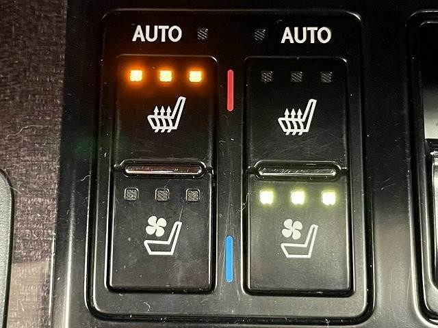26418089_carP_l_17.jpg
