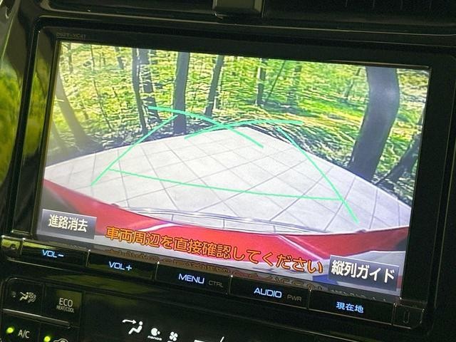 25633032_carP_l_4.jpg