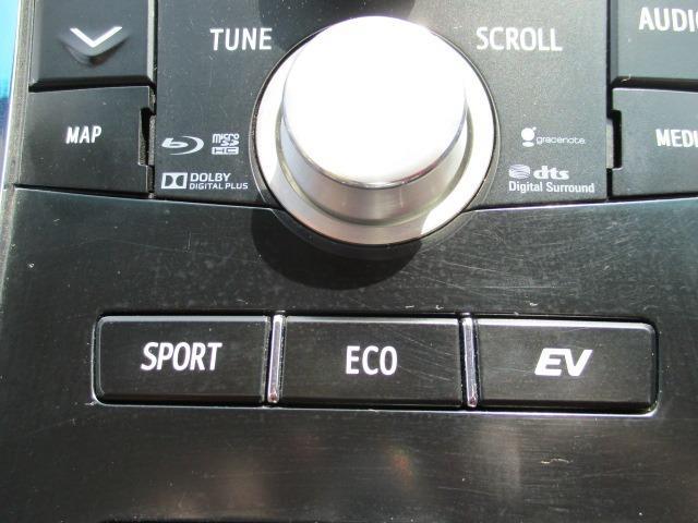 0610087A30260418W00116.jpg